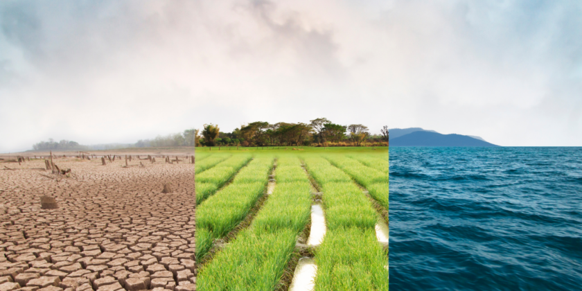 Impact investing does not have a money problem