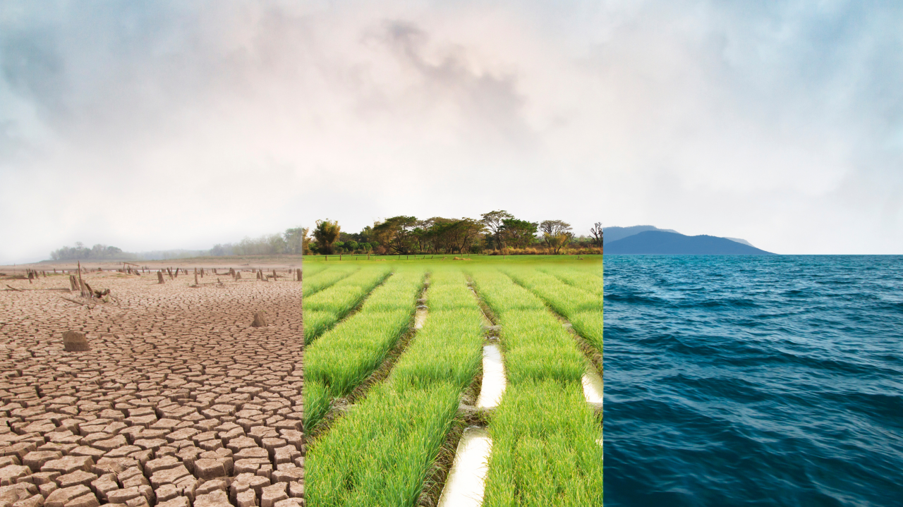 Impact investing does not have a money problem